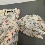 Perceptions Cream Floral Dress Knee Length,  New York, Cold Shoulder  Size 10 Photo 3