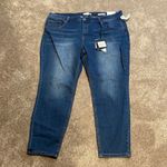 Ellen Tracy NWT  Sculpt Denim Mid-Rise Skinny Serene Jeans SIZE 24W Photo 0