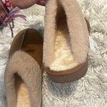 The Comfy  Slippers  Photo 7