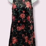 Mudd Floral Velvet Dress Photo 0
