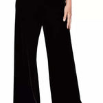 Alex Evenings  Women's Velvet Flat-Front Pull-On Pants Size Large Photo 0