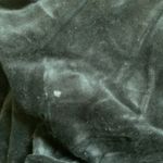 Club exx play velour pants Size M Photo 5