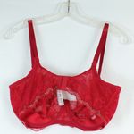 Victoria's Secret Victoria’s Secret Red Lace Dream Angels Push-Up Without Padding Bra Size 36DDD Photo 1