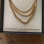 House of Harlow 1960 14”+3” Gold Layered Snake Necklace Photo 2