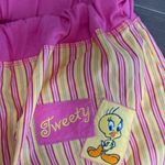 Warner Brothers Tweety Pink and Yellow Striped Pajama Pants woman’s sz XXL Photo 1