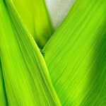 Monique Lhuillier ML Afterglow Gown in Fluorescent Green Size US 4 Photo 7