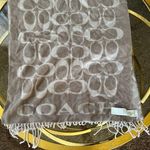 Coach Large  F76384 Signature Twill Fringe Logo Wool Cashmere Scarf Grey Beige Photo 0