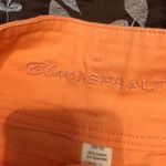 BlueAsphalt Burnt Orange Shorts Photo 2