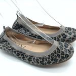 YNY Yosi New York Womens Lexington Ballet Flats Leopard Print Slip On Brown 6 Photo 0
