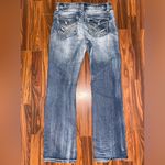 Cato  premium Photo 2