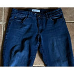 DL1961 Danny Instasculpt Skinny Jeans Women’s 29 Mid Rise Supermodel Slim Photo 8