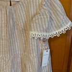 Aura NWT  Shimmer Striped Dress Photo 2