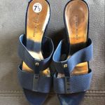 Etienne Aigner  Blue Mule Sandals S7.5 Photo 2