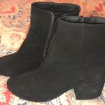 DV by Dolce Vit Black Suede Booties Photo 0