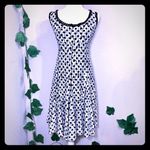 Alberto Makali Lace Polka Dot Flare Dress Photo 1