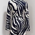 H&M Women's Black/Zebra Print Long Sleeve Deep V-Neck Mini Dress Size XS Photo 3