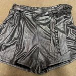 The Pants Store  Shorts Photo 0