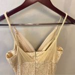 Teri Jon by Rickie Freeman heavily sequinned mermaid style gown, honey beige, 6 Tan Photo 9