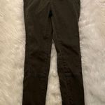 Pilcro and the Letterpress Anthropologie Superscript Pant Dark Green Photo 2