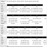 Johnny Was  Silk pants NEW Photo 3