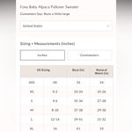 Free People #65 NWT  Foxy Baby Alpaca Pullover Sweater in Red Combo Photo 4