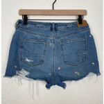 American Eagle  Floral Embroidered Distressed Mom Short Size 6 Photo 1