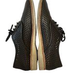 Rollie Australia Derby Punch Black Perforated Leather Lightweight Oxford Shoes Photo 4