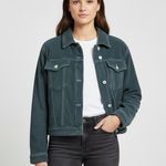 ZARA Women’s Terrycloth Effect Distressed Denim Jacket Blue Sz Medium RARE Photo 1