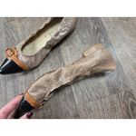AGL Attilio Giusti Leombrun Black Brown Snake Skin Point Toe Flats Shoes Size 37 Photo 4