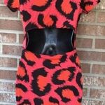 Topshop Cheetah Leopard Print Dress Photo 4