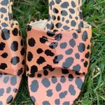 Larroude Brigitte Block Heeled Sandals in Cheetah Print Women’s Size 6 New Black Photo 6