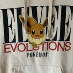 Pokémon Pokemon Eevee Eeveelutions Hoodie Photo 1