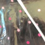 Victoria's Secret 
Cotton Short Pajama Set Photo 3