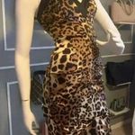 Cache  Animal Print Leopard Formal Dresses for Women’s Size 4. D11 Photo 5