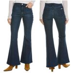 Hudson Jeans  Heidi Sakura High-Rise Flare Jean Size 27 Photo 1