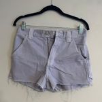 PacSun Lavender Shorts Photo 0