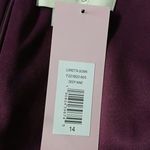 Sachin & Babi Loretta Formal Evening Gown Women's 14 Wine Special Occasion Dress Red Photo 5