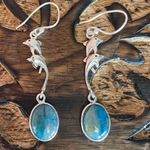 Quantum Quattro Solid Sterling Silver Dolphin Earrings Blue Photo 1