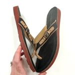 Tommy Hilfiger Black and Tan Jayne2 Thong Flip Flop Sandals Photo 3