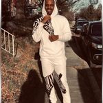 I Am Certified Fly White Zebra Print Hoodie Unisex Small Photo 3