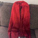 Ellen Tracy ✨ Woven Ombre Ultra Soft Scarf✨ Photo 3