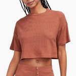 Naadam Ribbed Lightweight Cropped Top Tee Cashmere Blend Short Sleeves Size S Photo 0