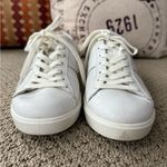 Ecco  Street Lite Women’s White Leather Retro Sneakers Photo 6