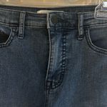 Social Standard by Sanctuary High Photo 1