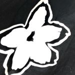 Adrienne Vittadini  Shorts‎ Photo 2