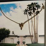 Palm tree necklace & earrings by Kitsch Photo 4