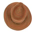 Pistil Straw Sun Hat with Zebra Sash Detail Orange Rust Striped Photo 5