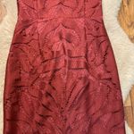 Two Sisters  Dress Lace Overlay Fringe Hemline Criss Cross Back Wine Size 6 Women Photo 2