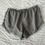 Varsity Shorts Photo 3