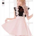 Japanese Kawaii Gyaru Black Pinkl Flower Lace Polka Dot Ruffle Mini Dress Photo 1